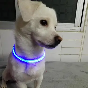 Reguliuojamas LED naminių Gyvūnėlių Apykaklės Šviesos Pet Saugos Lankų Atsparus Vandeniui, Mirksėti Šunų Antkaklis Šuniui Pakinktus Apykaklės