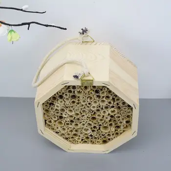 Vientisos Spalvos Medienos, Pušies Vabzdžių Lizdą Medžio Korio Entomologijoje Lauko Šešiakampe Virvelę Medienos Širdys Bičių Lizdą